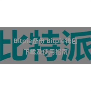 Bitpie备份 Bitpie钱包下载及使用指南