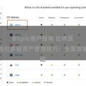 Bitpie用户指南 比特派钱包多链资产管理技巧：全面攻略