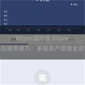 Bitpie国际版 Bitpie钱包使用技巧：多链资产管理全攻略