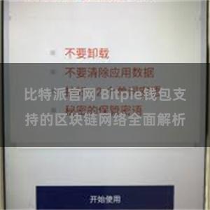 比特派官网 Bitpie钱包支持的区块链网络全面解析