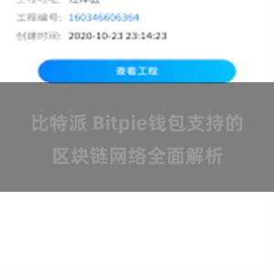 比特派 Bitpie钱包支持的区块链网络全面解析