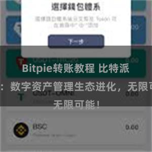 Bitpie转账教程 比特派钱包：数字资产管理生态进化，无限可能！