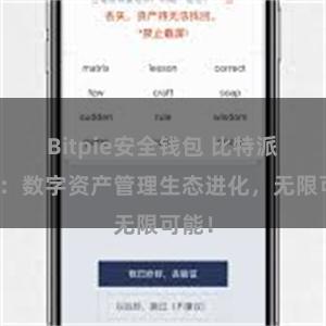 Bitpie安全钱包 比特派钱包：数字资产管理生态进化，无限可能！