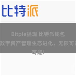 Bitpie提现 比特派钱包：数字资产管理生态进化，无限可能！