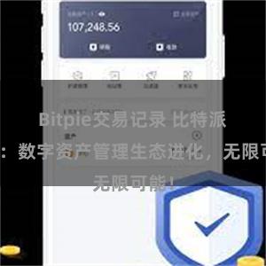 Bitpie交易记录 比特派钱包：数字资产管理生态进化，无限可能！