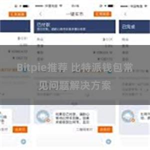 Bitpie推荐 比特派钱包常见问题解决方案