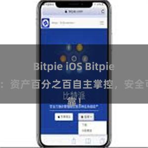 Bitpie iOS Bitpie钱包：资产百分之百自主掌控，安全可靠！