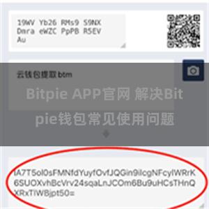 Bitpie APP官网 解决Bitpie钱包常见使用问题