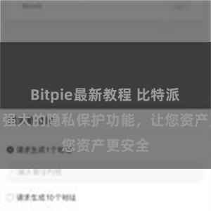 Bitpie最新教程 比特派钱包：强大的隐私保护功能，让您资产更安全