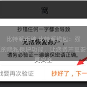 比特派币种 比特派钱包：强大的隐私保护功能，让您资产更安全