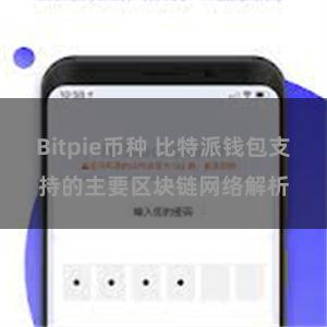 Bitpie币种 比特派钱包支持的主要区块链网络解析