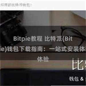 Bitpie教程 比特派(Bitpie)钱包下载指南：一站式安装体验