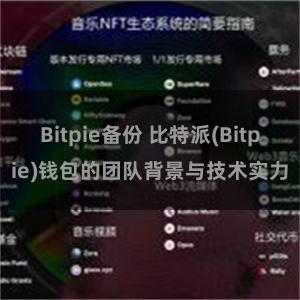 Bitpie备份 比特派(Bitpie)钱包的团队背景与技术实力