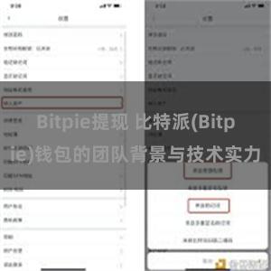 Bitpie提现 比特派(Bitpie)钱包的团队背景与技术实力