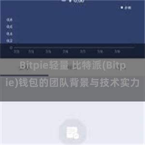 Bitpie轻量 比特派(Bitpie)钱包的团队背景与技术实力