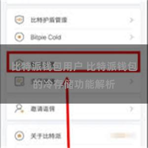比特派钱包用户 比特派钱包的冷存储功能解析