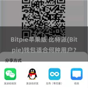 Bitpie苹果版 比特派(Bitpie)钱包适合何种用户？