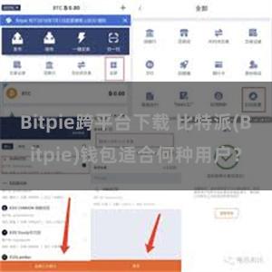 Bitpie跨平台下载 比特派(Bitpie)钱包适合何种用户？