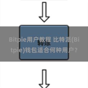 Bitpie用户教程 比特派(Bitpie)钱包适合何种用户？