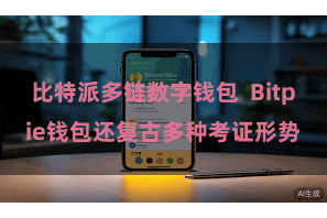 比特派多链数字钱包  Bitpie钱包还复古多种考证形势