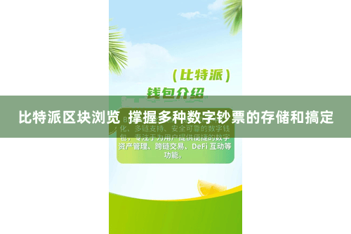 比特派区块浏览  撑握多种数字钞票的存储和搞定