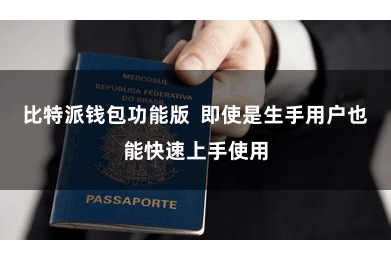 比特派钱包功能版  即使是生手用户也能快速上手使用