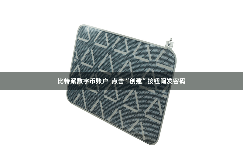 比特派数字币账户  点击“创建”按钮阐发密码