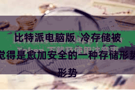 比特派电脑版  冷存储被觉得是愈加安全的一种存储形势