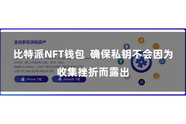 比特派NFT钱包  确保私钥不会因为收集挫折而露出