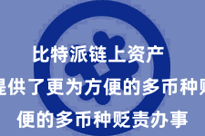 比特派链上资产  为用户提供了更为方便的多币种贬责办事